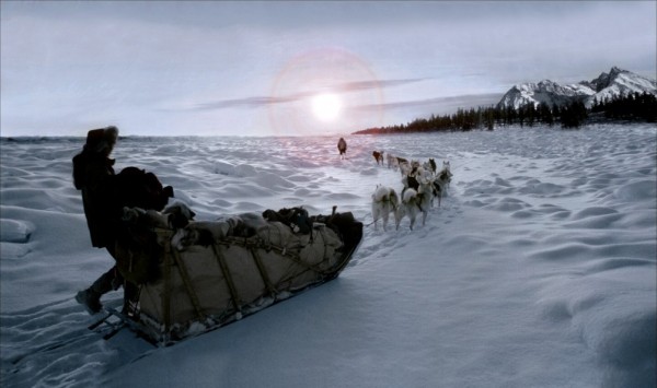 Сибирские Хаски фото в упряжках
