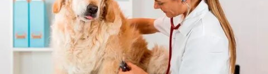 'Какие болезни нужно лечить только в ветеринарной клинике?