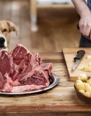 'Какое подобрать мясо для собак?