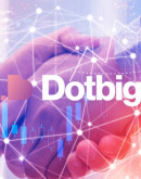 'Почему DotBig биржа считается одной из самых надежных?