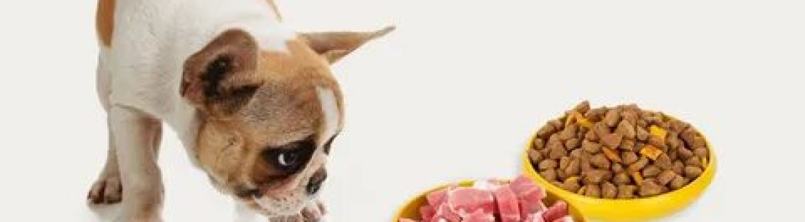'Как подобрать диетический корм для собаки?