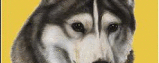 'Игра Husky Crossing